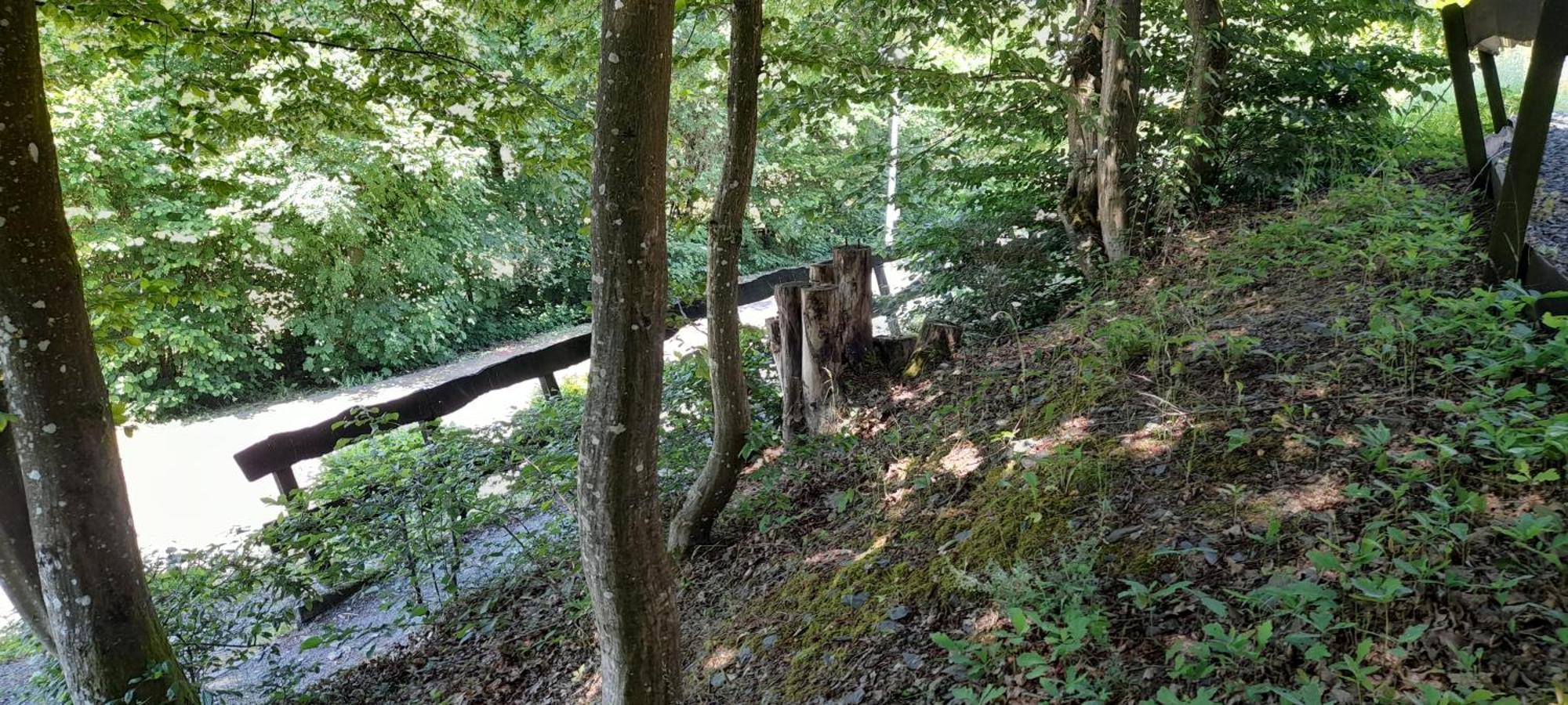 Le Sentier Des Lavandes Vresse-sur-Semois Ngoại thất bức ảnh