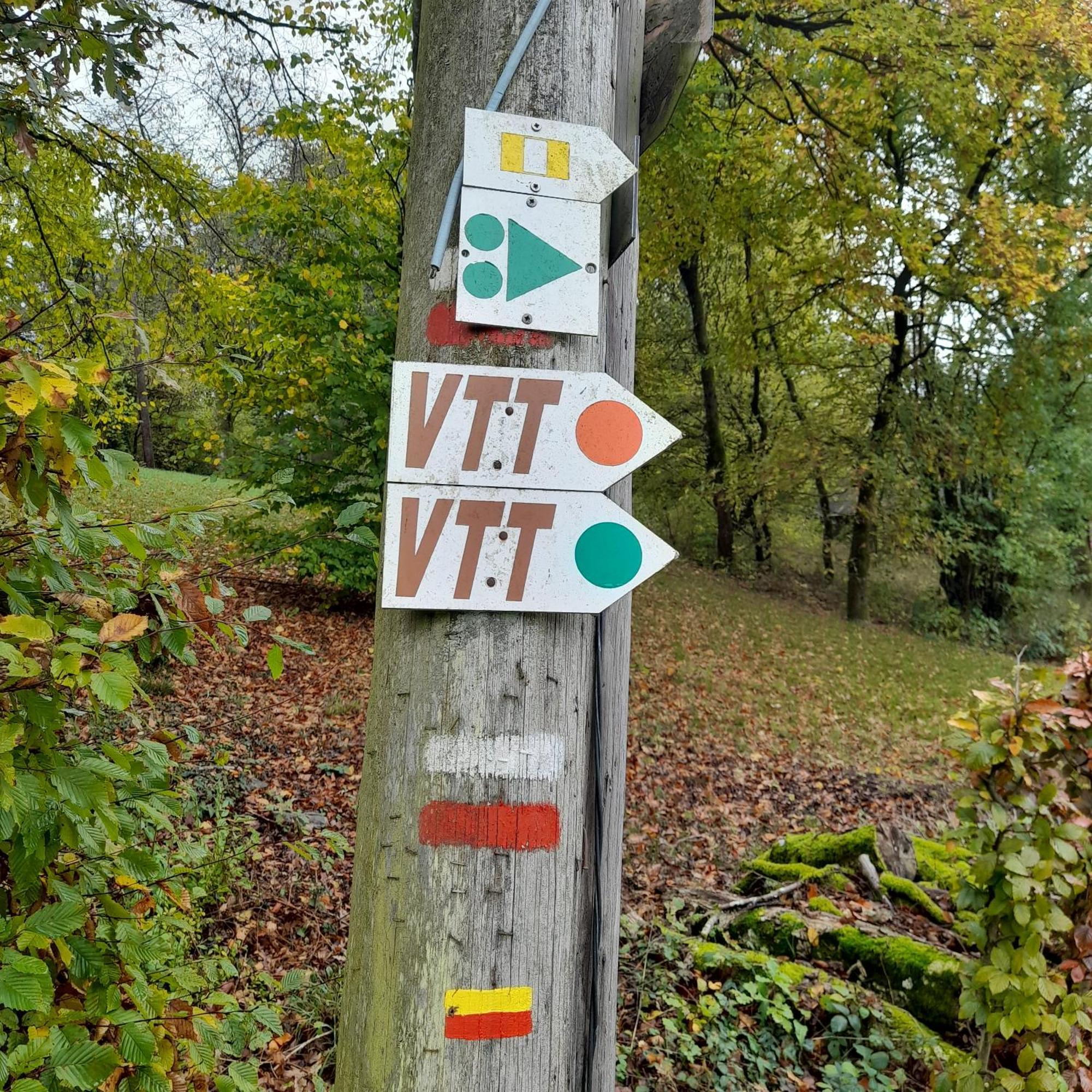Le Sentier Des Lavandes Vresse-sur-Semois Ngoại thất bức ảnh